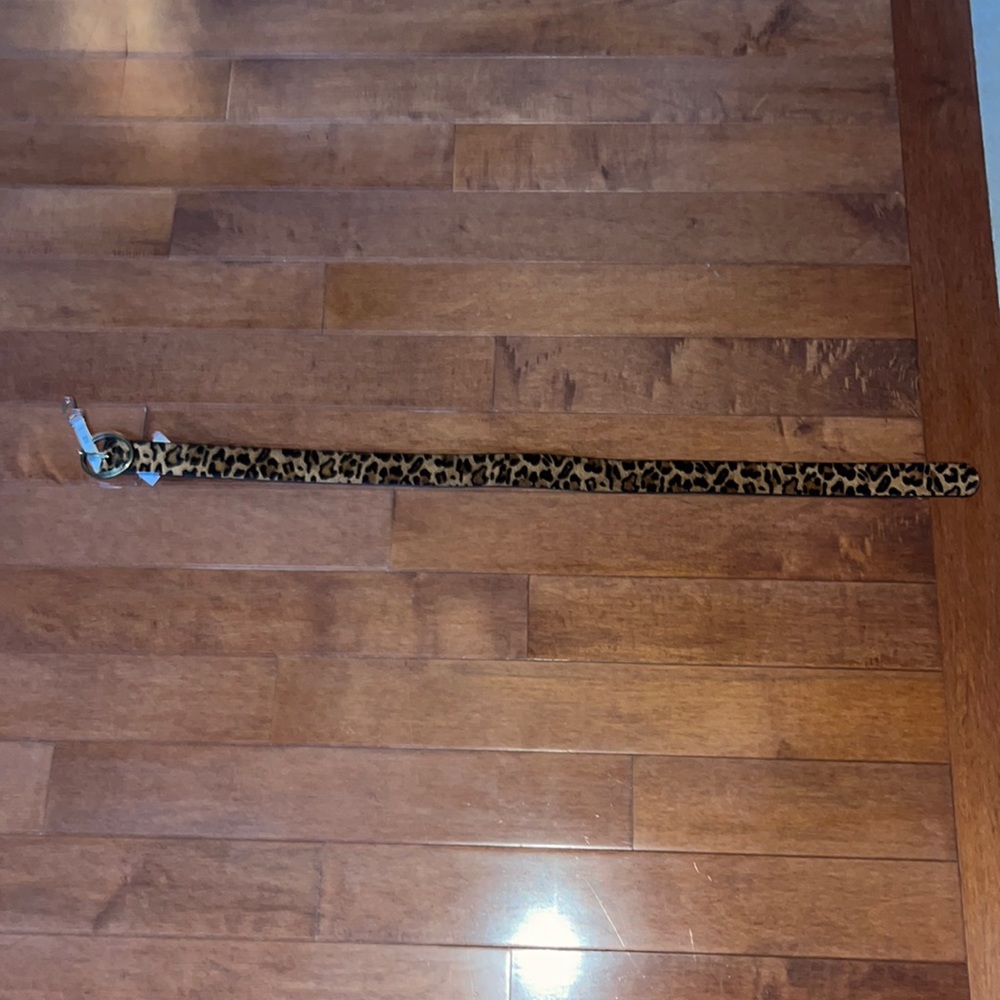 American Eagle cheetah print belt